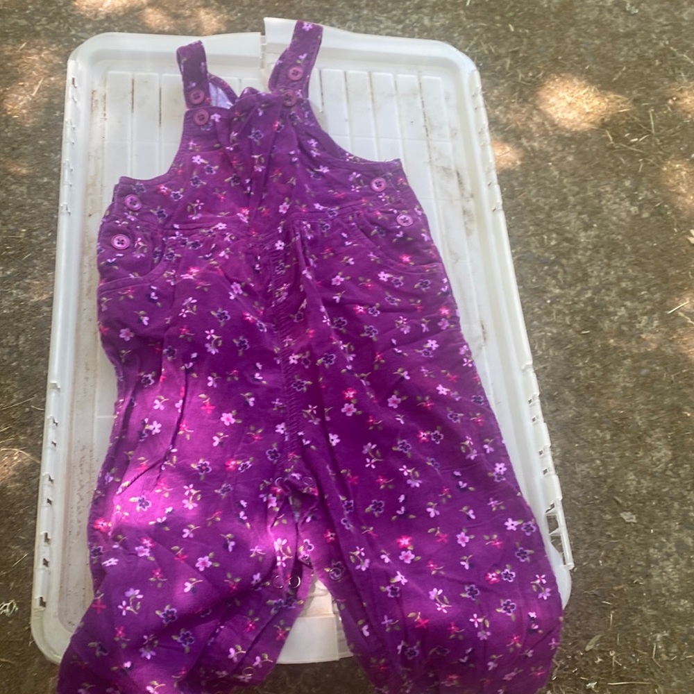 Purple overalls (18 months - 2 yrs)